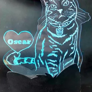 Lampă 3D Personalizată cu fotografia pisici tale